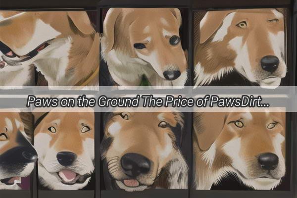 Paws on the Ground The Price of PawsDirty Fun for Our Furry Friends